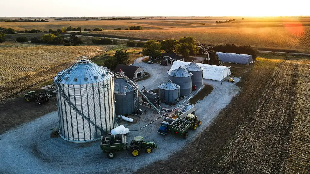 How many years ago did agriculture start?