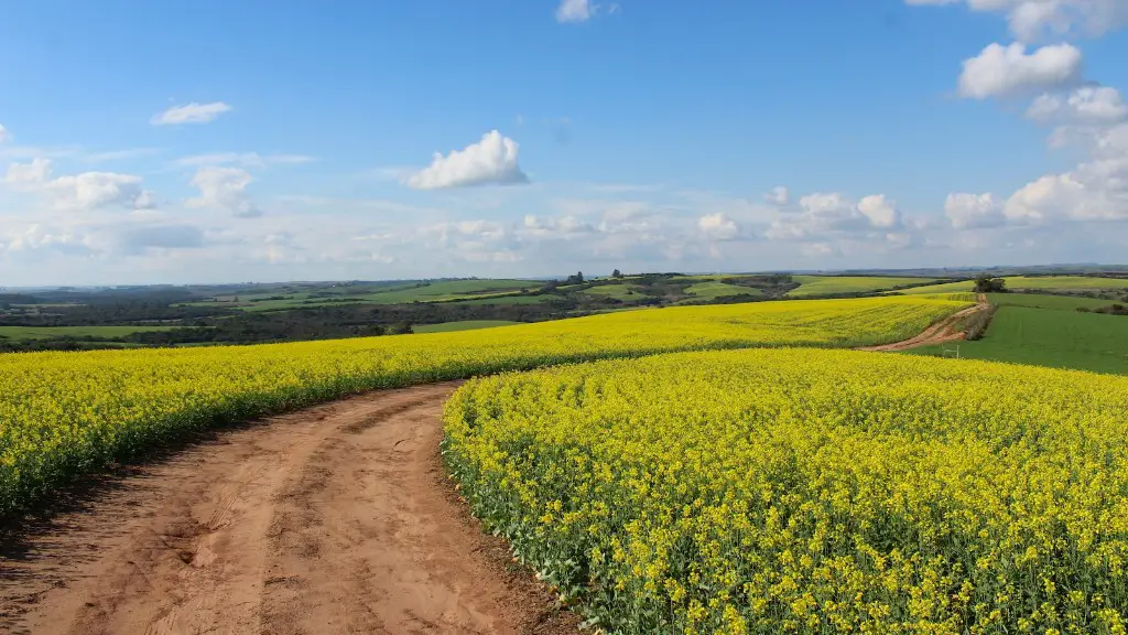 How much methane does agriculture produce?