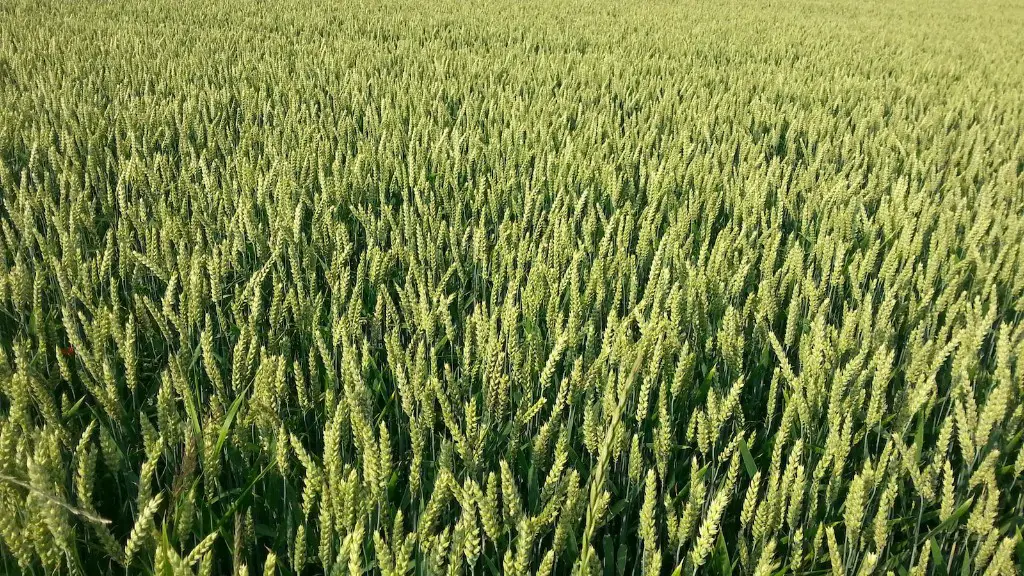 Is sandy clay loam good for agriculture?