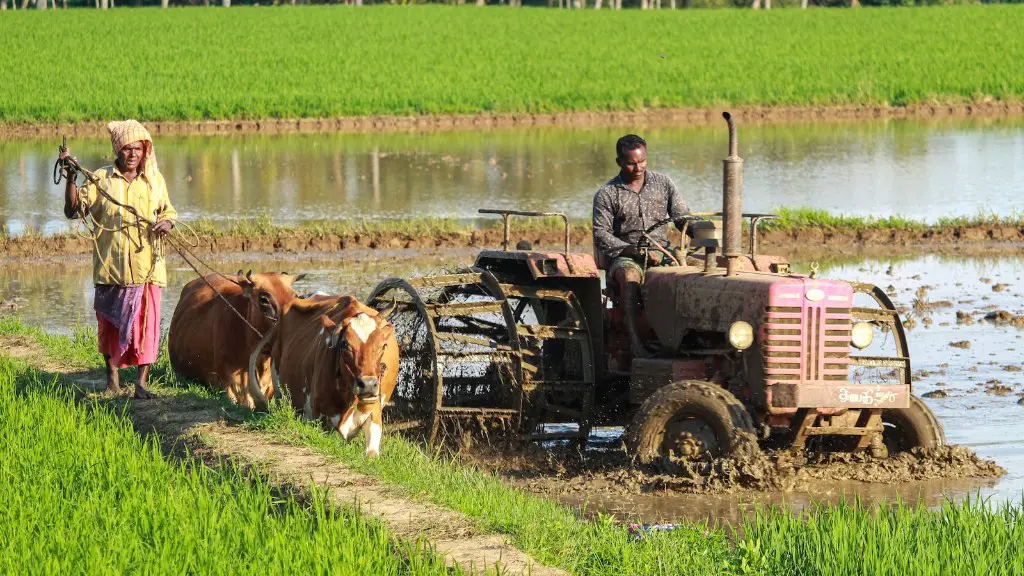 What are the different kinds of agriculture?