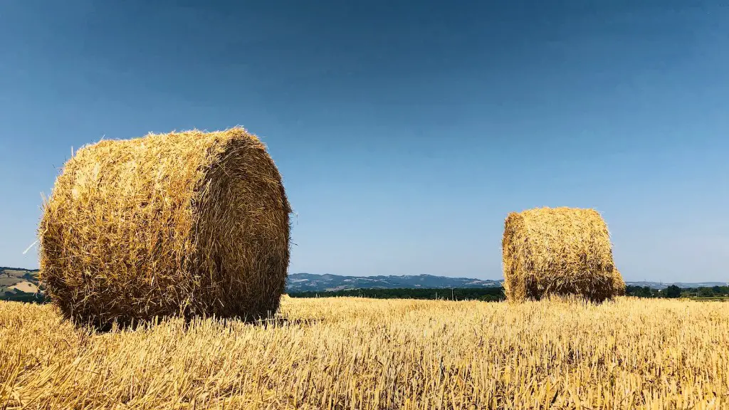 What technological advance made agriculture possible in the great basin?