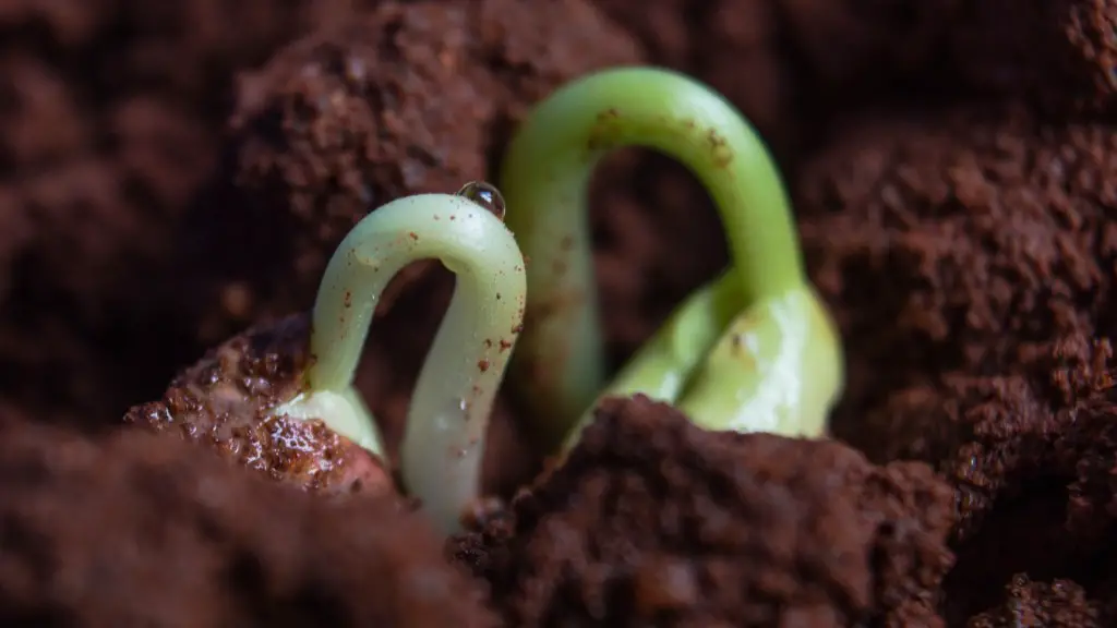 What is stacking in agriculture?