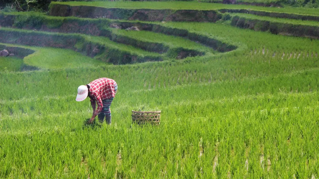 How did the green revolution impact agriculture?