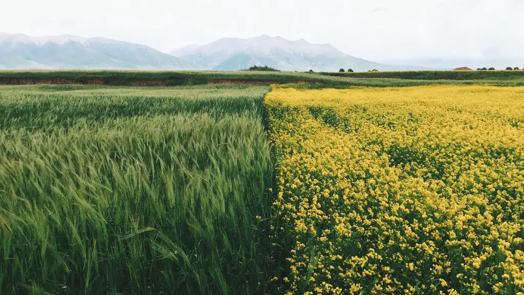 Do agriculture?
