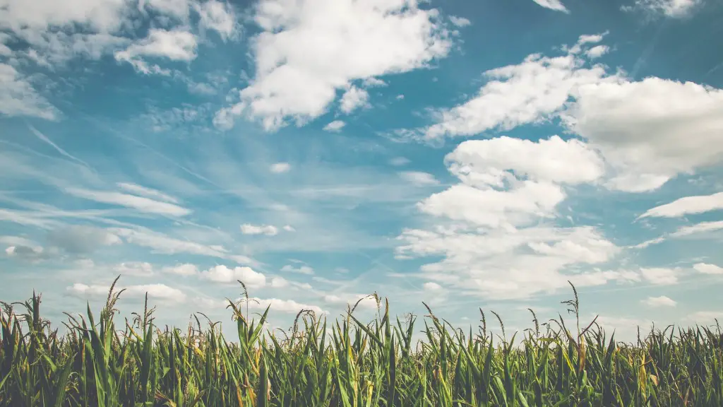 Is animal agriculture the leading cause of deforestation?