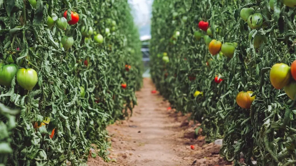Which Nonpoint Pollutants Are Most Directly Linked To Agriculture