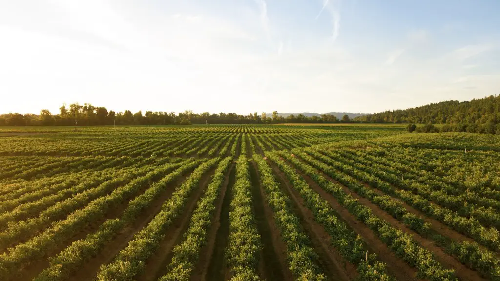 How does climate change affect agriculture in south africa?