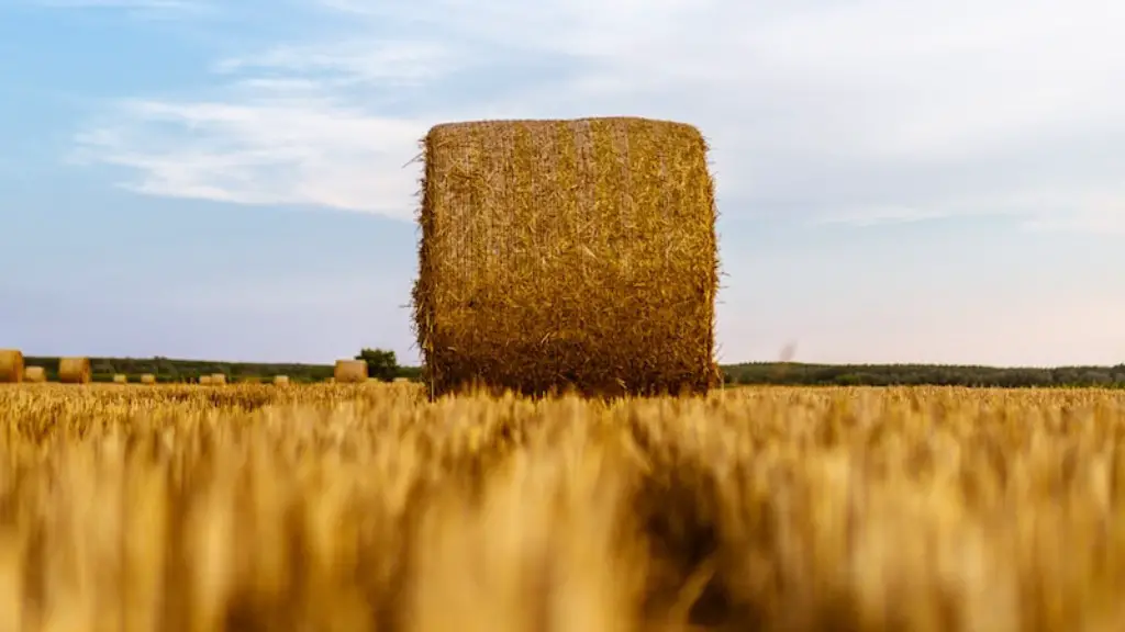 What is weeding in agriculture?
