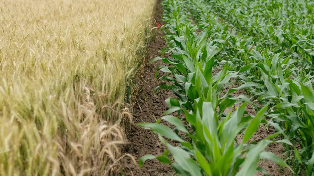 What is intensive commercial agriculture?