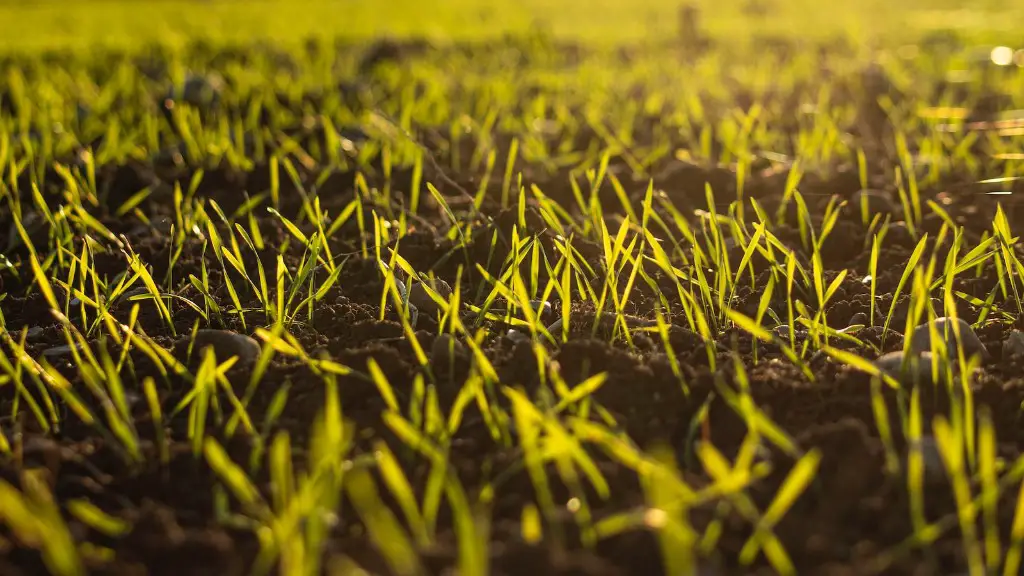 What isotopes are used in agriculture?