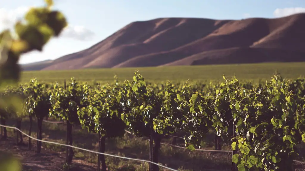 What is hawaii agriculture?