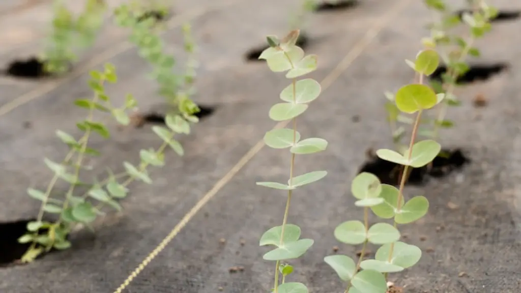 Why do we use pesticides in agriculture?