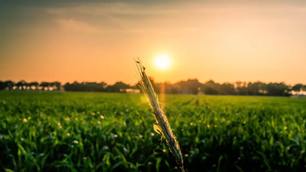 How does agriculture help people?