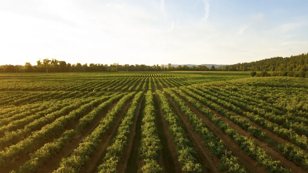 How did agriculture change?