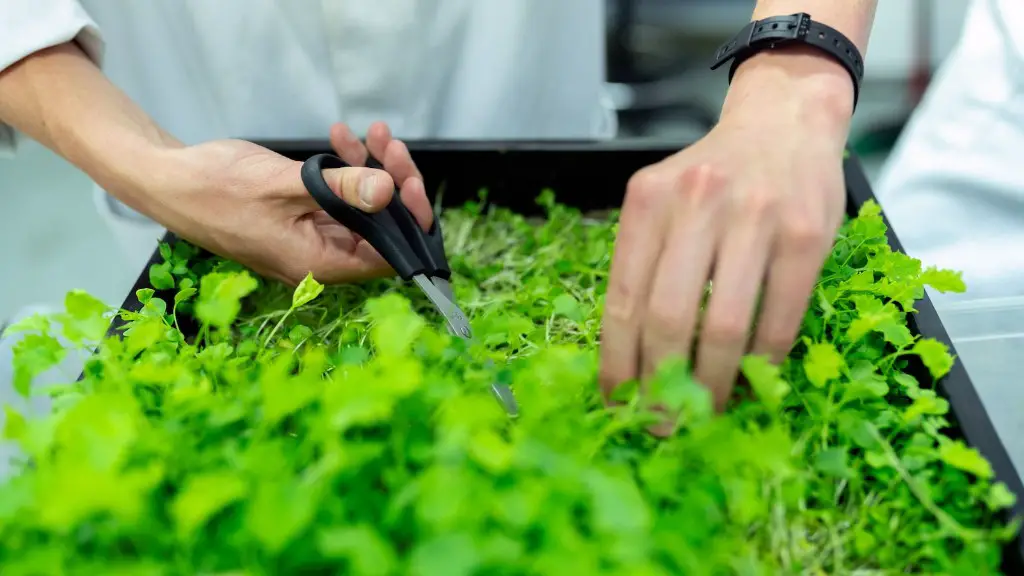 Is gardening agriculture?