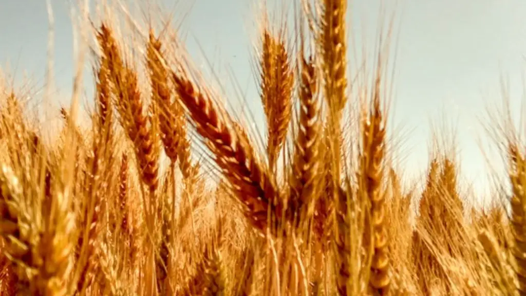 Is regenerative agriculture expensive?