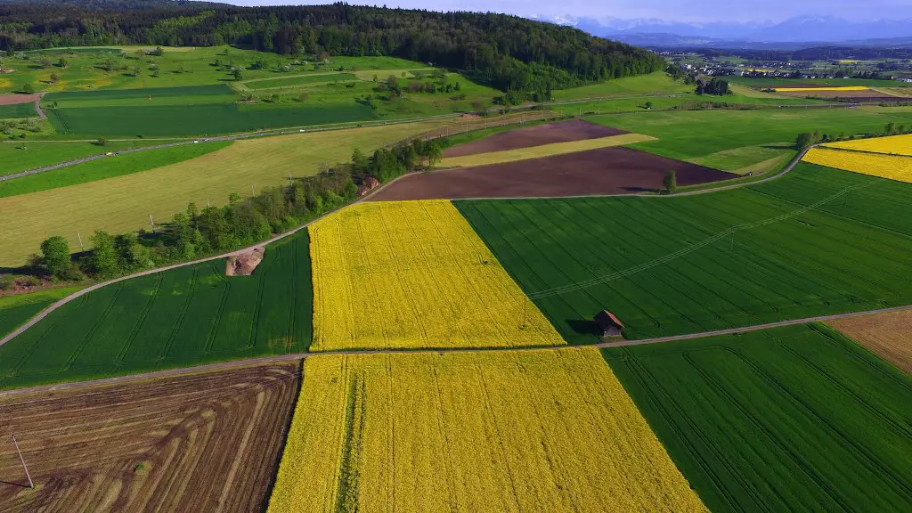 Where is slash and burn agriculture practiced?