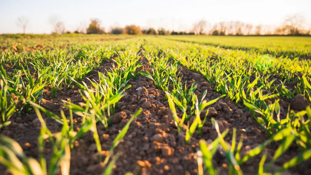 How does no till agriculture reduce soil erosion?