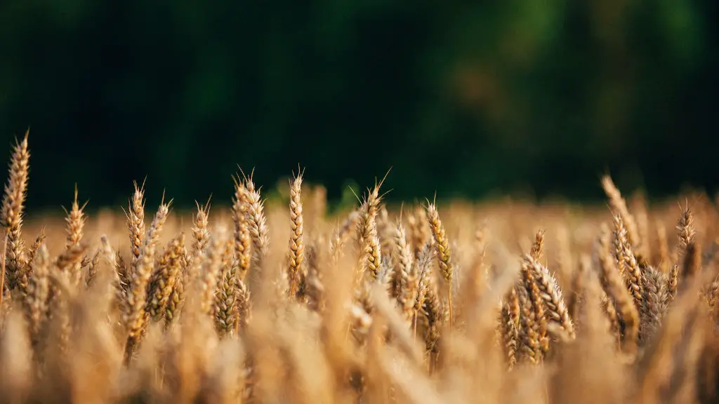 How much land in the u.s. is used for agriculture?