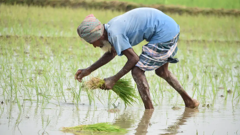 What are the challenges faced by agriculture?