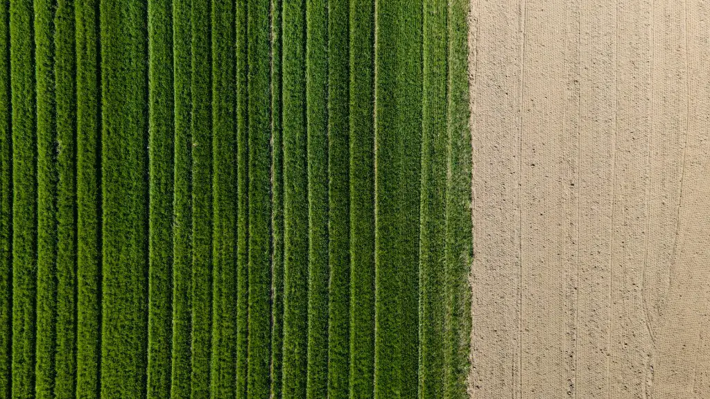 How drones are changing agriculture?