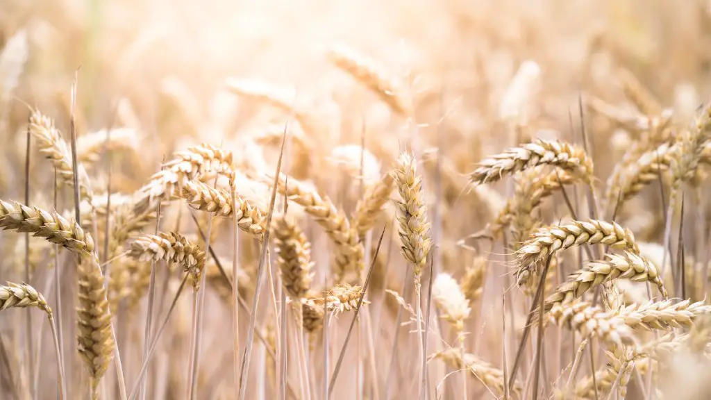 What is greening in agriculture?