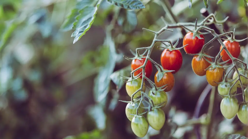 How has covid 19 impacted agriculture?