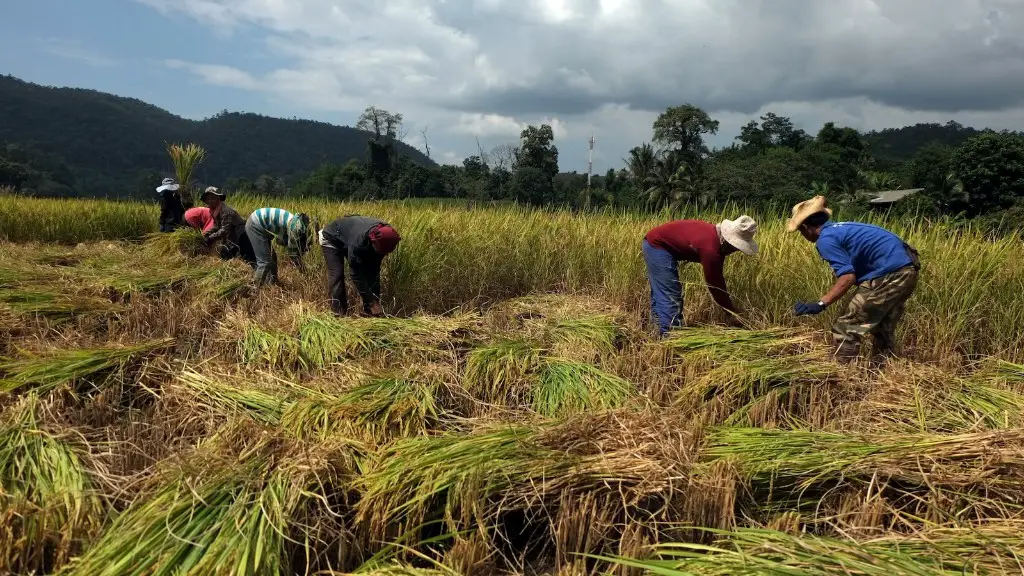 How Do Floodplains Make Agriculture Possible