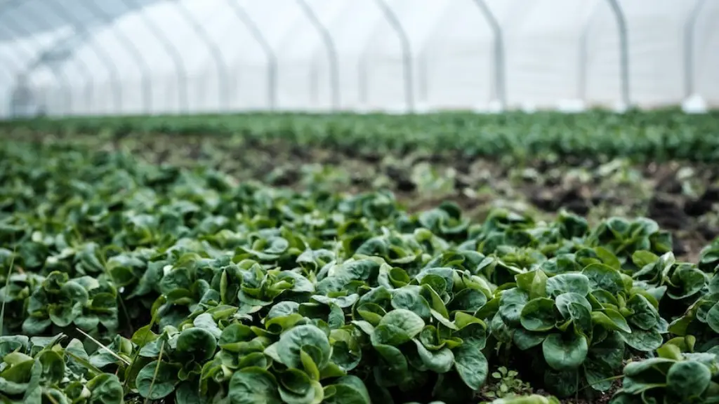 What are the best agriculture etfs?