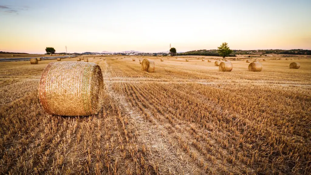 What Accounts For The Emergence Of Agriculture