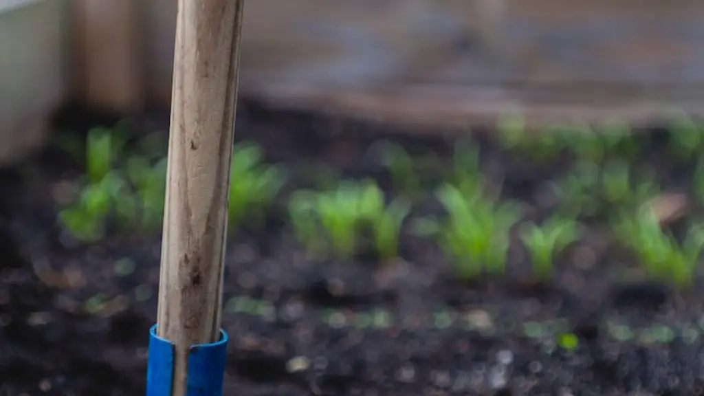 Is agriculture a good career?