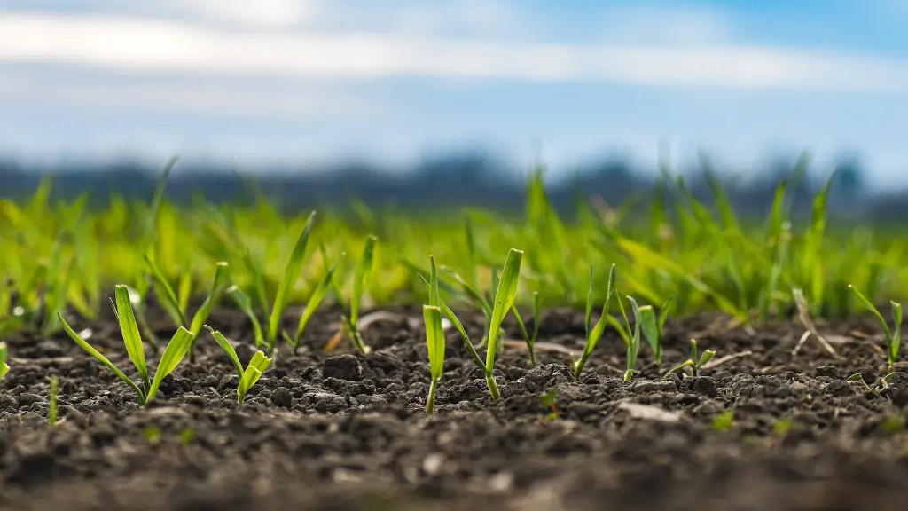 What is night soil in agriculture?