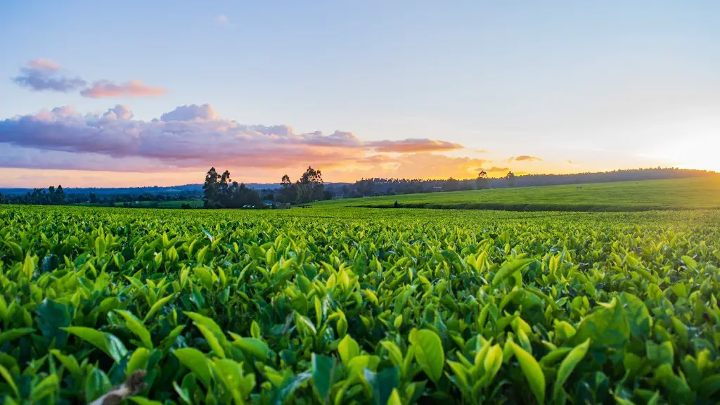 How to lease land for agriculture?