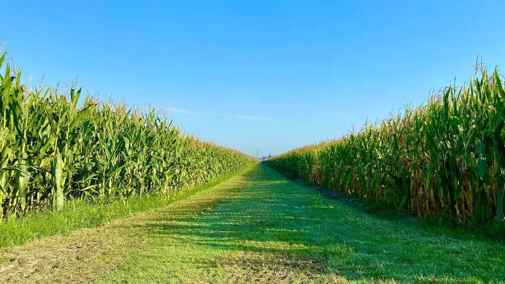 How To Conserve Water In Agriculture