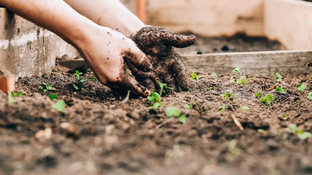 How has agriculture contributed to climate change?