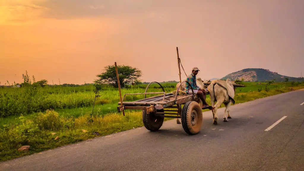 Which country is best in agriculture in africa?