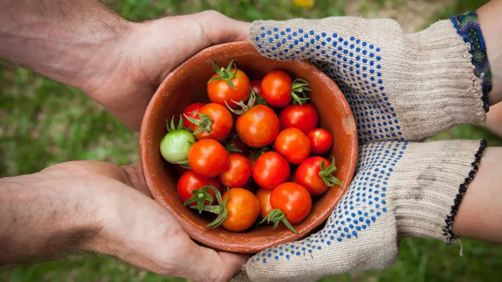 What is the difference between urban agriculture and community gardening?