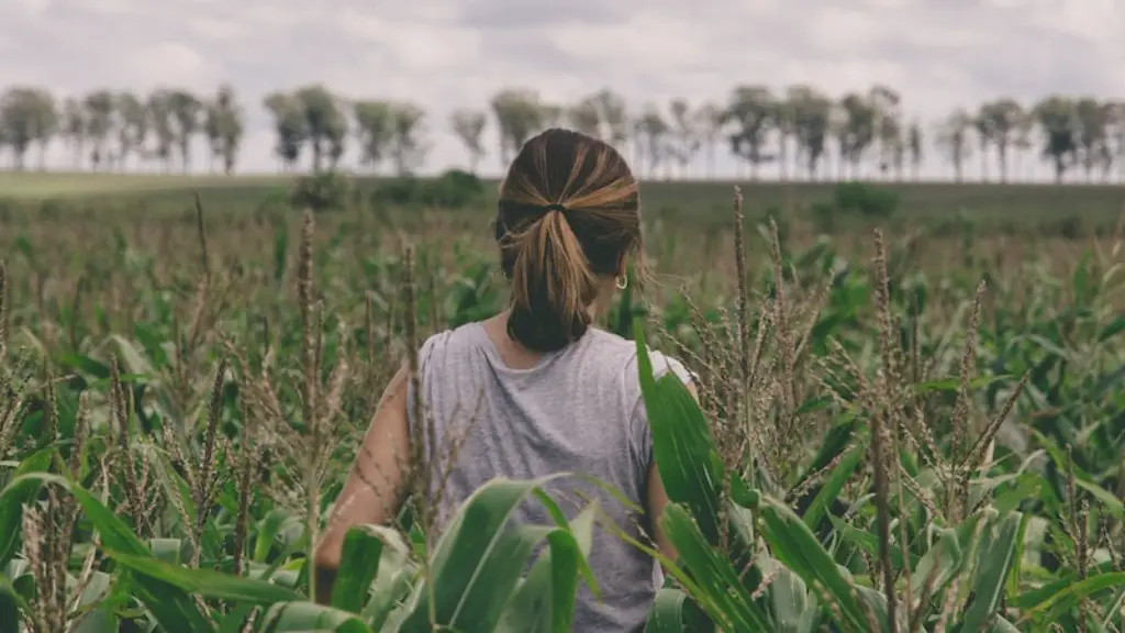 What are food and agriculture workers?