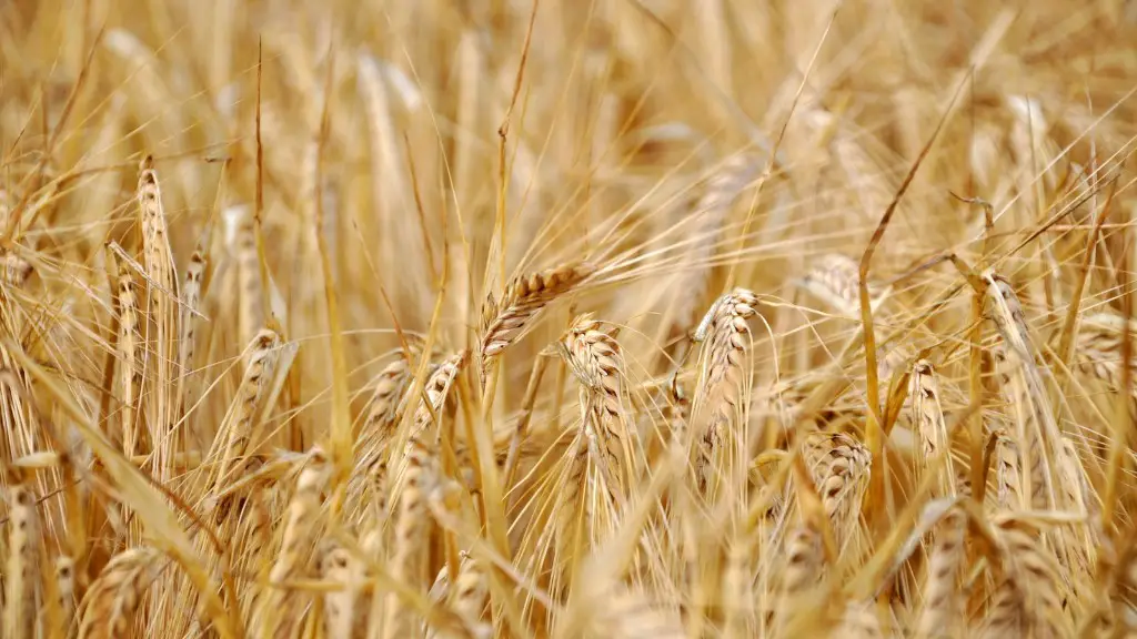 How does climate change affect agriculture in australia?