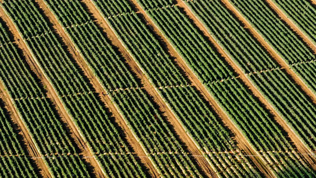 Where Does A Gender Gap In Agriculture Exist