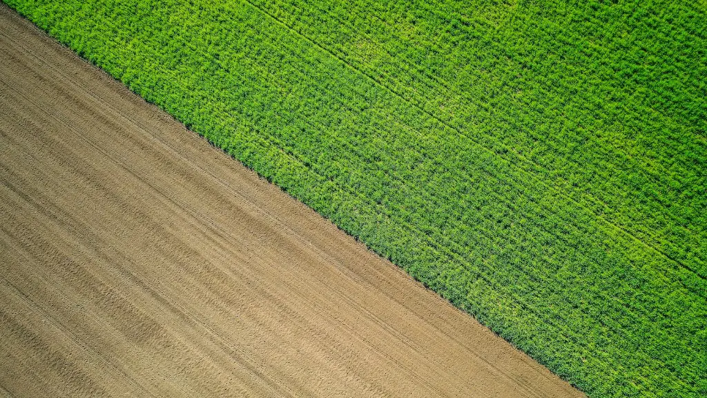 How does agriculture use water?