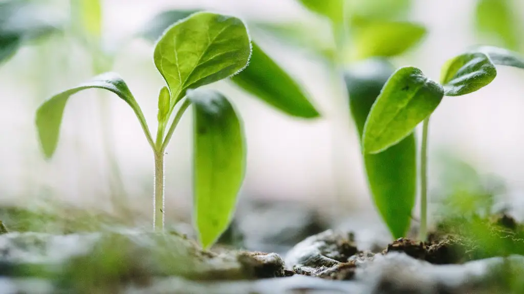 Which Statement About Precision Agriculture Is False