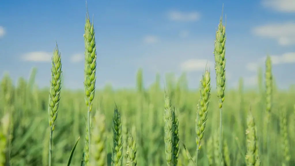 What is mechanization in agriculture?
