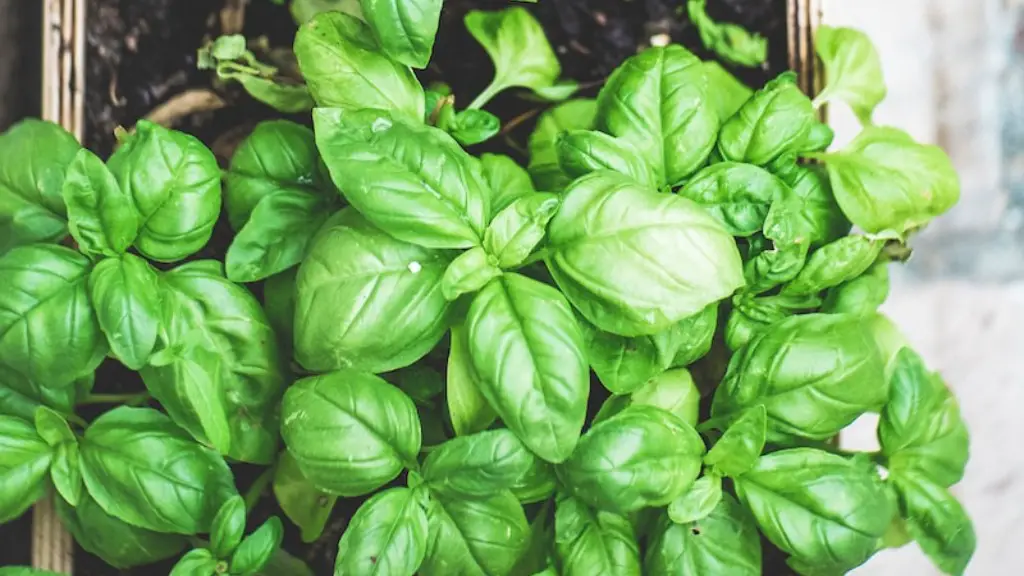 What Is Agriculture Commodity