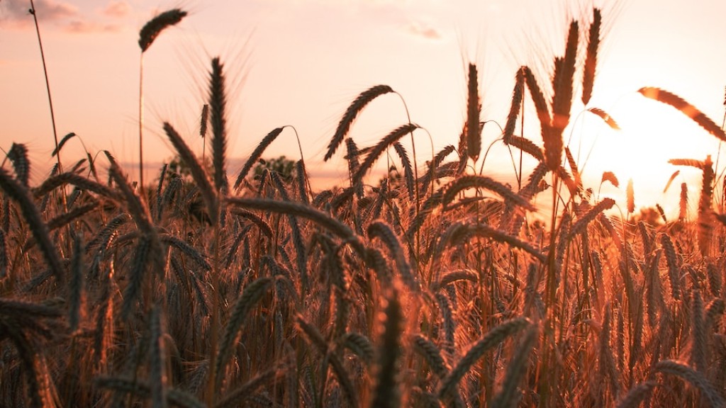 A agriculture degree virginia?