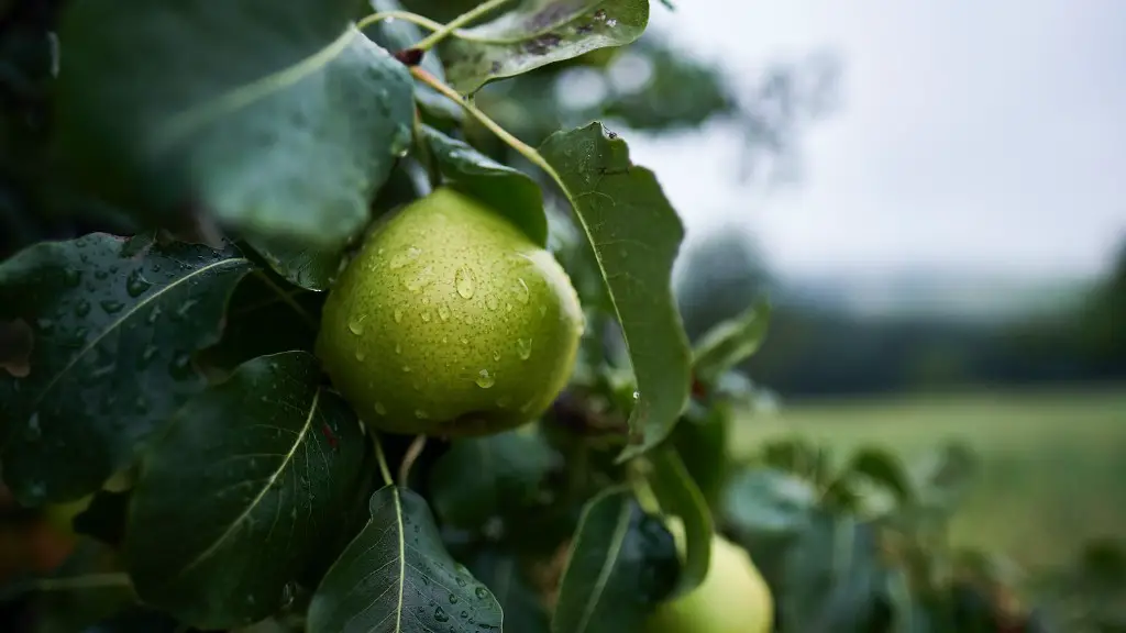 What is the meaning of sustainable agriculture?