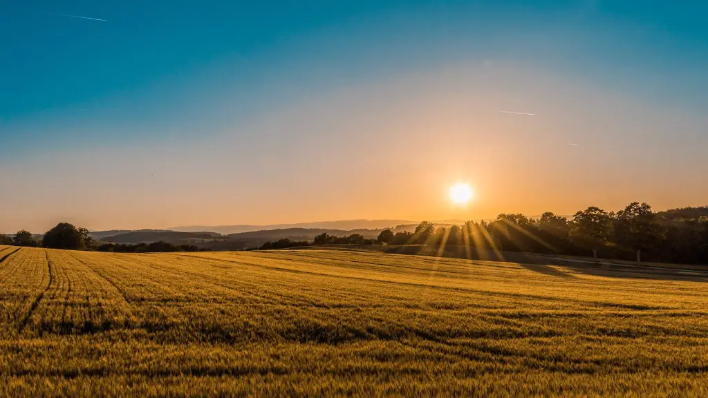 Why do you believe in the future of agriculture?