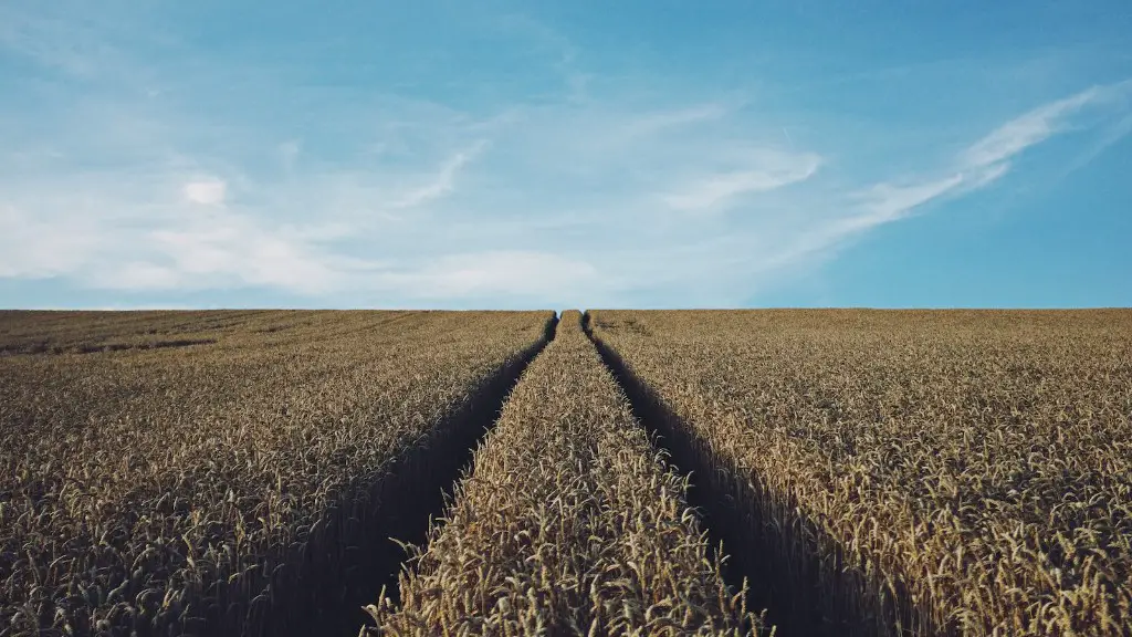 How did agriculture change?