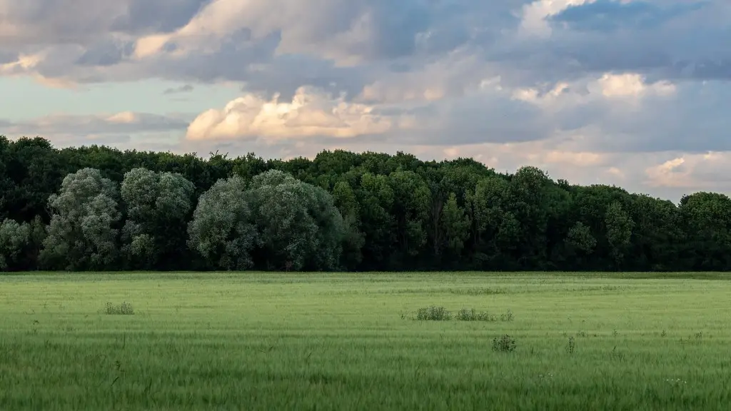 How many immigrants work in agriculture?