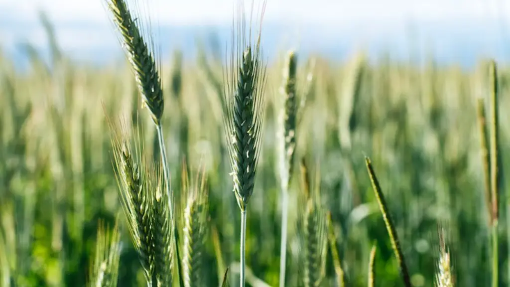 Why Is Agriculture A Perfect Competition